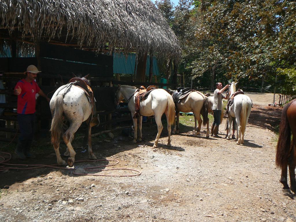 Villa Casas Buenas Brisas Ojochal Zimmer foto