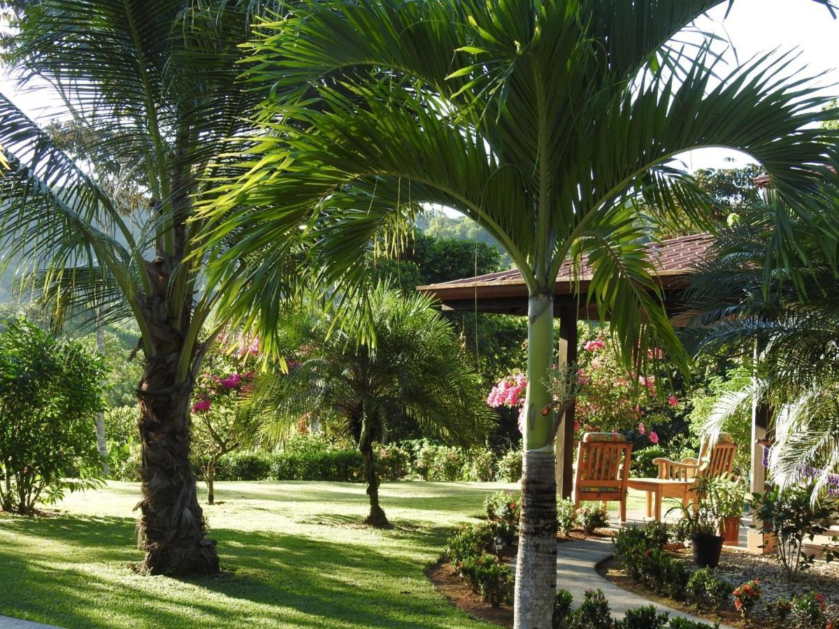Villa Casas Buenas Brisas Ojochal Exterior foto